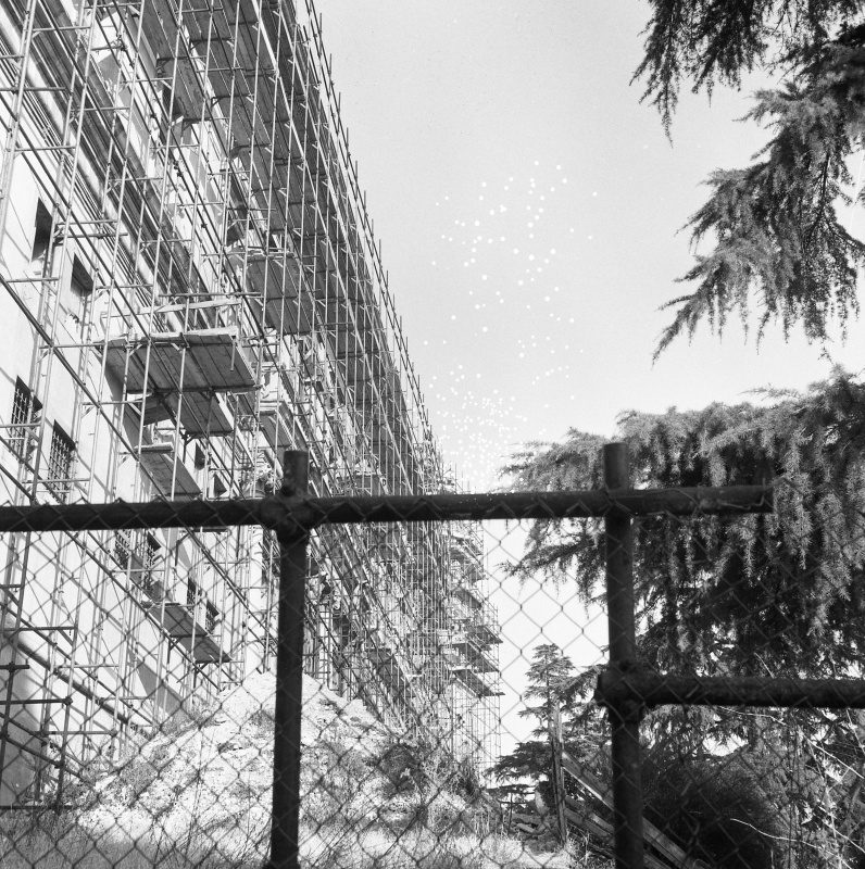 Udine 1977